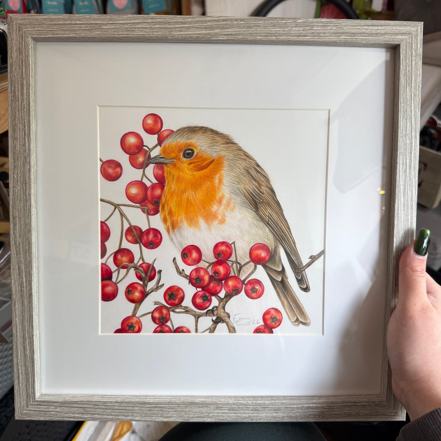 British Robin Medium Original