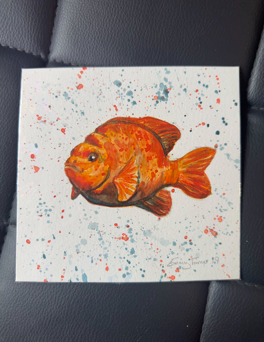 Original fish 2019