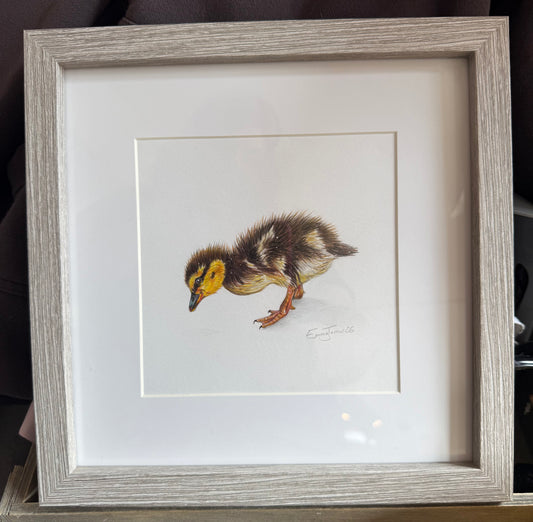 Framed Mini Duckling Original