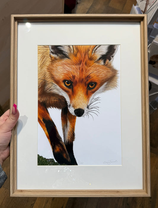 Preorder - A4 Fox Framed Print