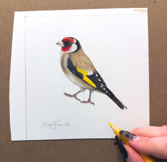 Goldfinch - Mini British Birds Collection