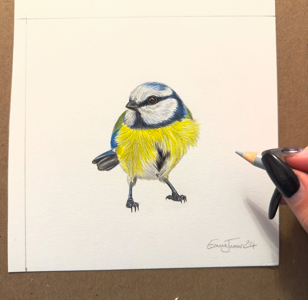 Blue tit - Mini British Birds Collection