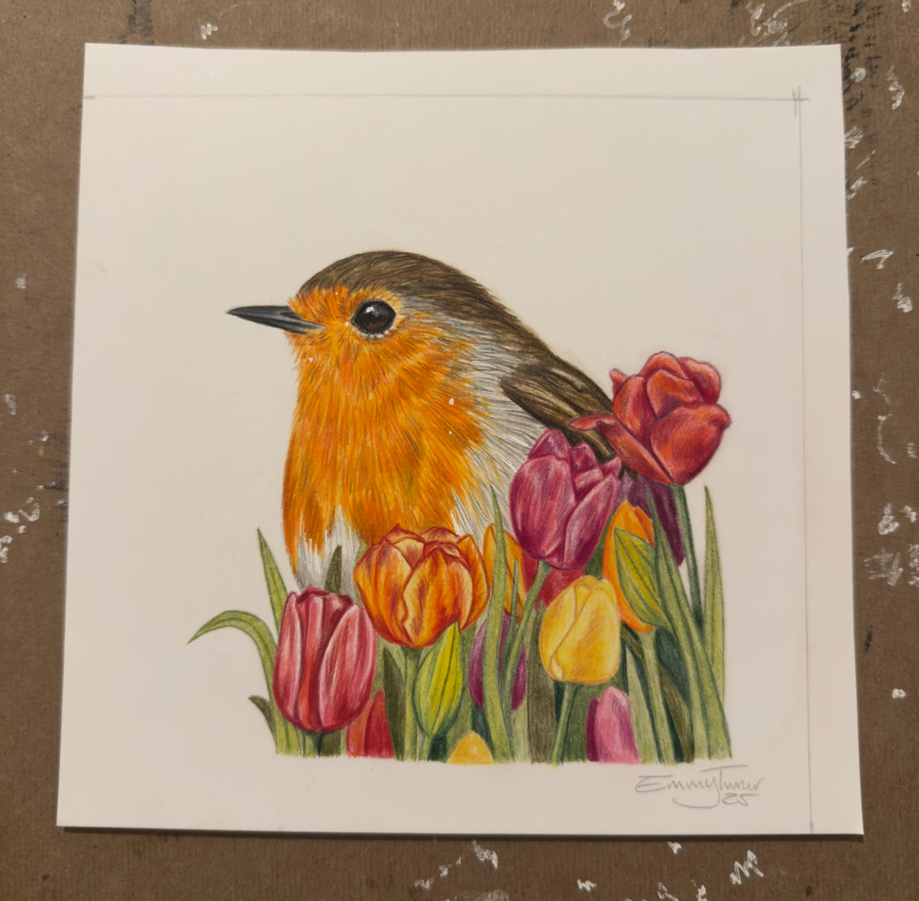 Tulip Robin Mini Original