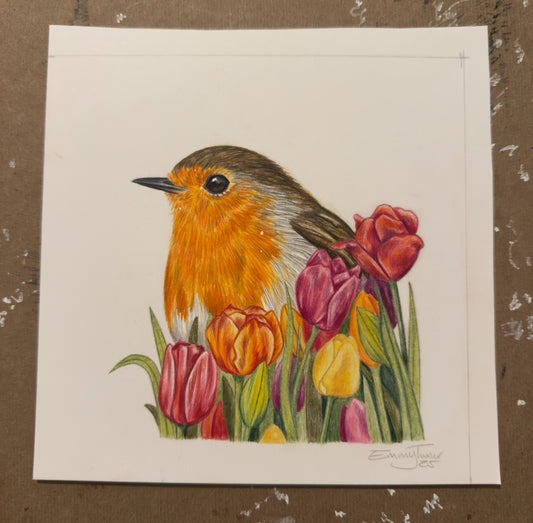 Tulip Robin Mini Original