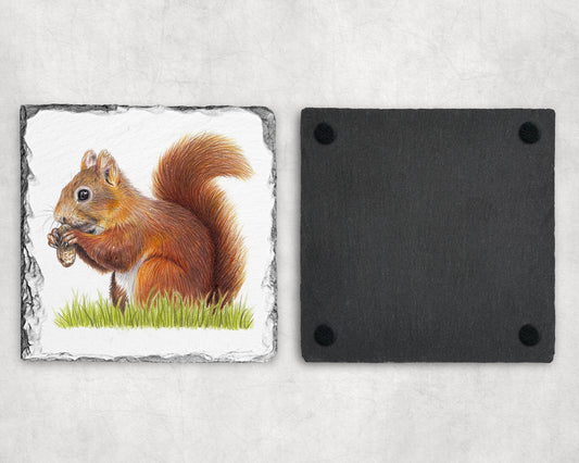 Preorder - Red squirrel Slate Coaster