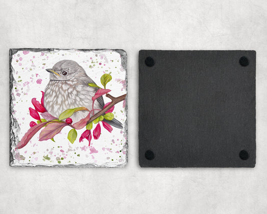 Preorder - Baby Robin Slate Coaster