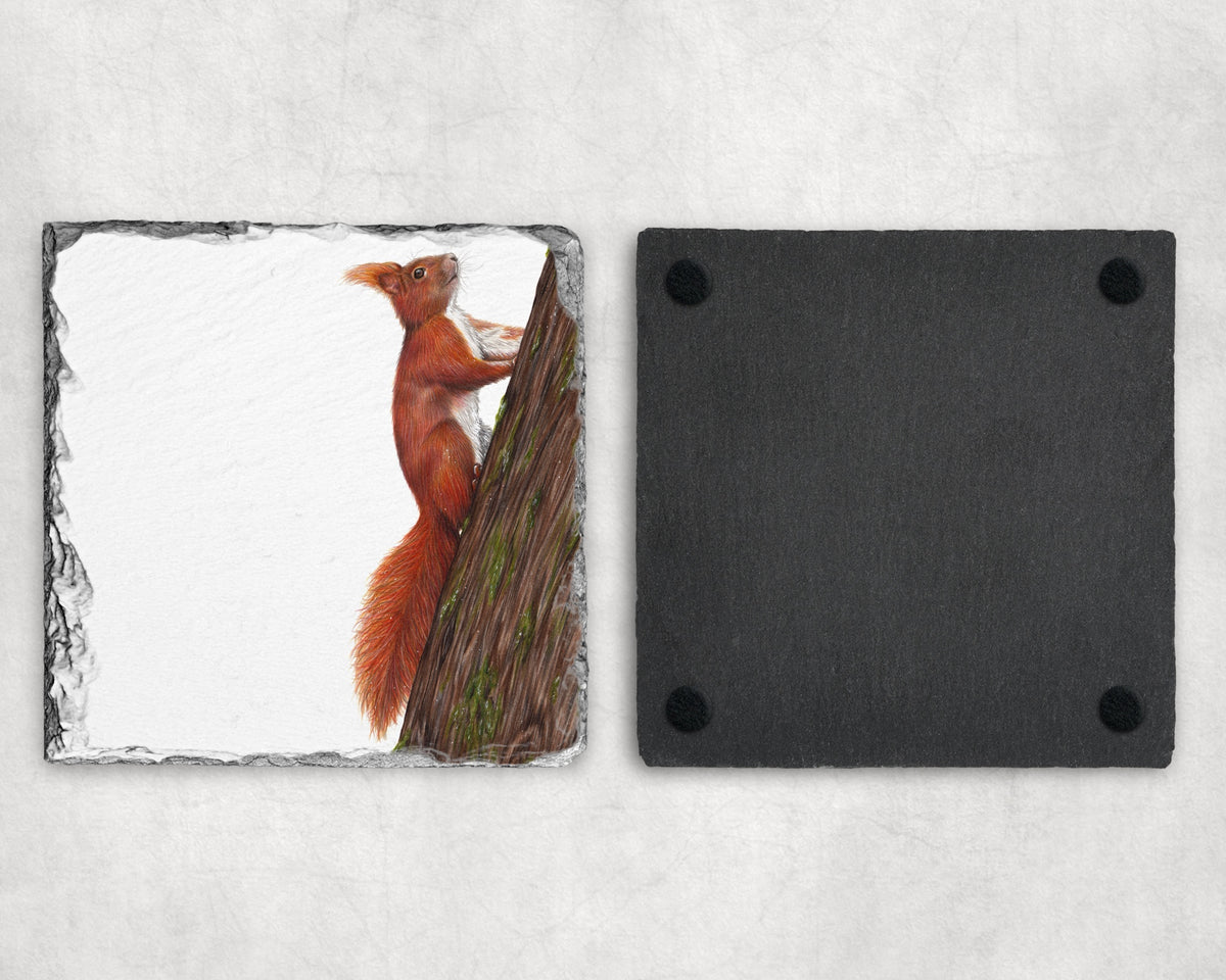Preorder - Red squirrel Slate Coaster