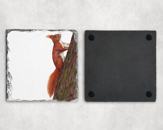 Preorder - Red squirrel Slate Coaster