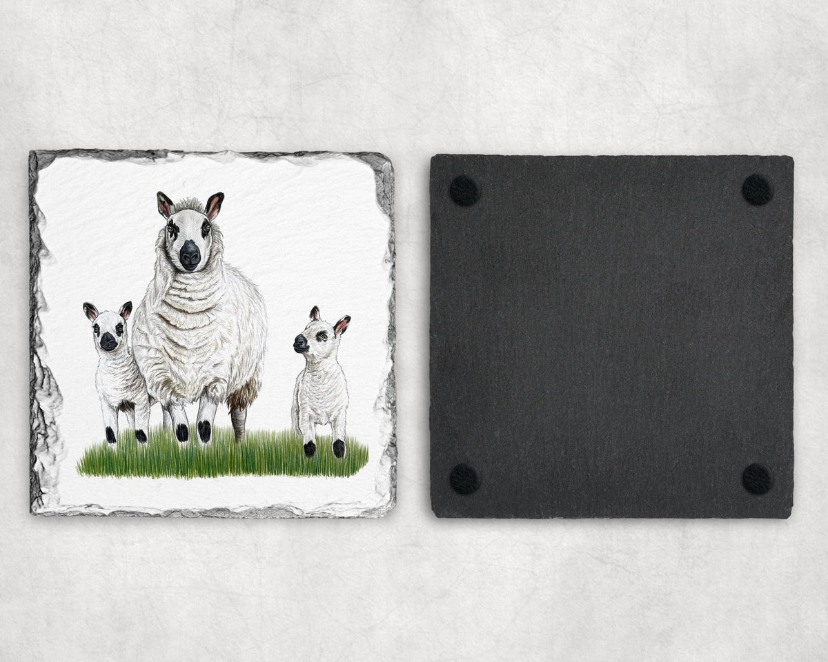 Preorder - Kerry Hill Sheep Slate Coaster