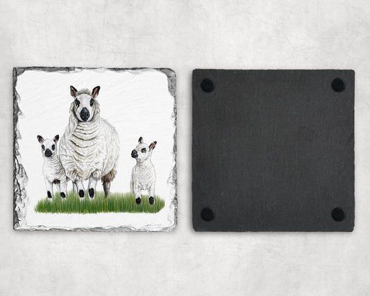 Preorder - Kerry Hill Sheep Slate Coaster