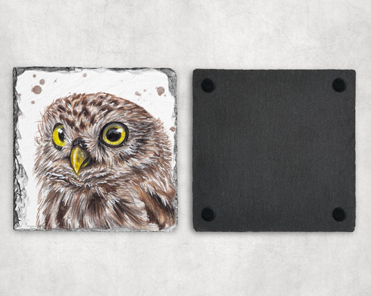 Preorder - Little Owl Slate Coaster