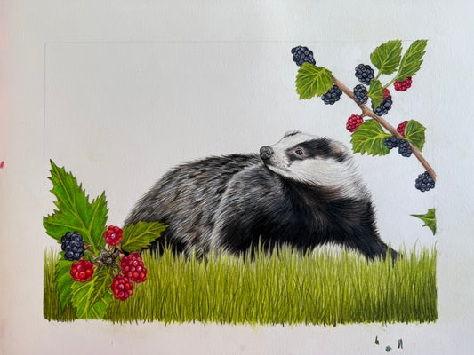 Blackberry Badger Original
