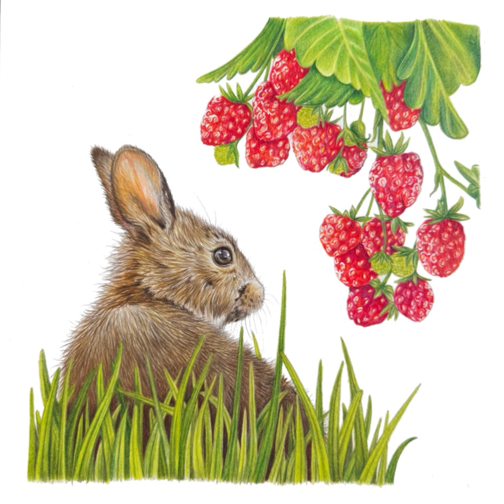 Under the strawberry bush Limited Edition Print
