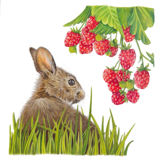Under the strawberry bush Limited Edition Print