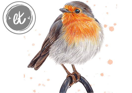 British Robin Print