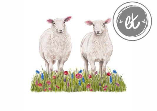 Lambs in flowers Print