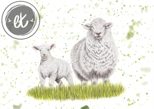 Sheep Print