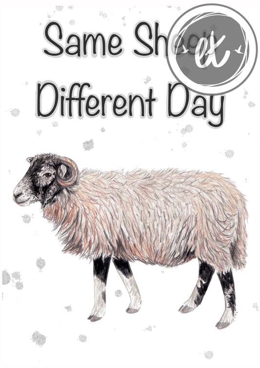 Same Sheep Different Day Print