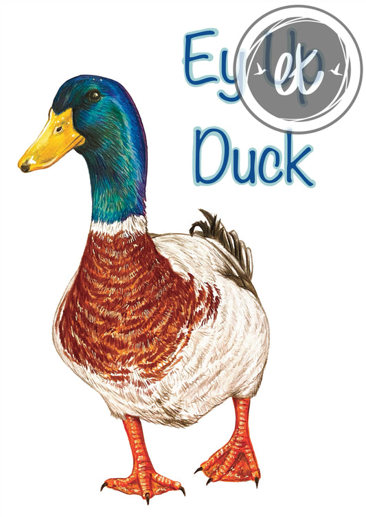 Ey Up Duck Print