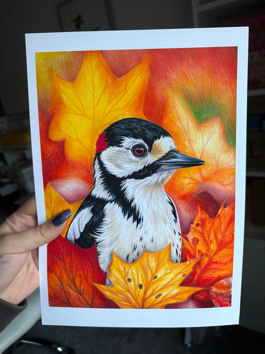 Great Spotted Woodpecker Print