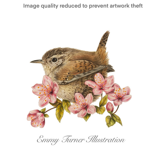 Blossom Wren Print
