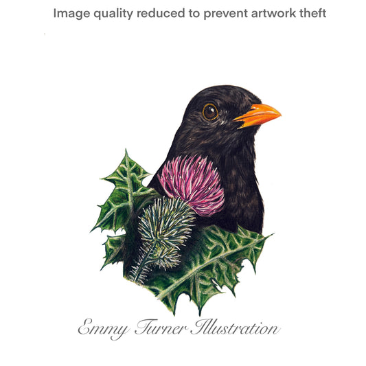 Thistle Blackbird Print