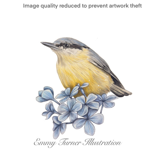 Geranium Nuthatch Print