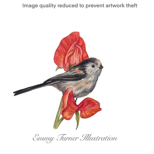 Sweet pea Long Tailed Tit Print