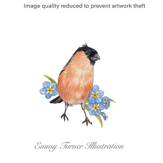 Forget-me-not Bullfinch Print