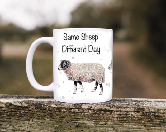 Same Sheep Different Day