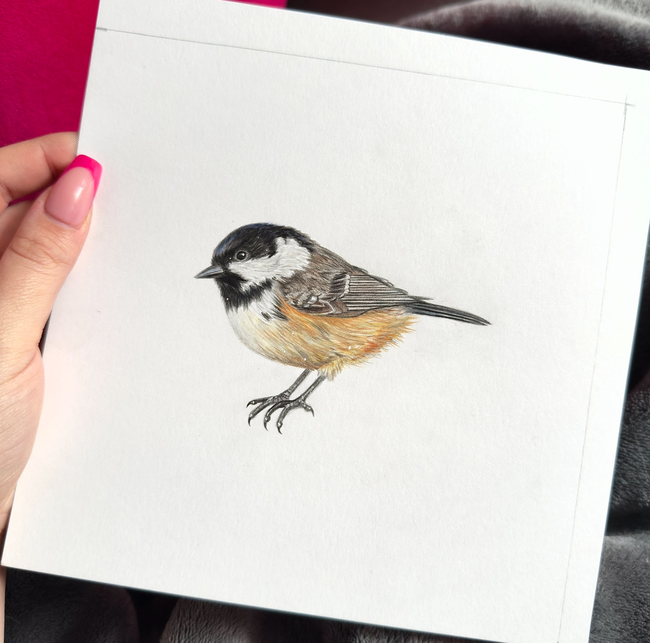 Coal Tit Mini Original